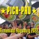 Pica-Pau beim M-Net-Firmenlauf Augsburg 2022